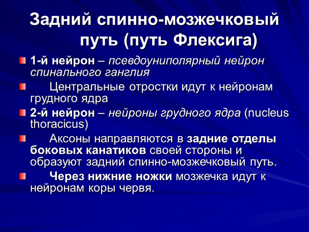 Задний спинно-мозжечковый путь (путь Флексига) 1-й нейрон – псевдоуниполярный нейрон спинального ганглия Центральные отростки